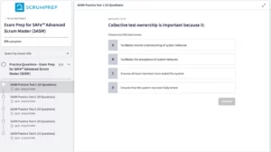 SAFe (SASM) Practice Test Screenshot 01
