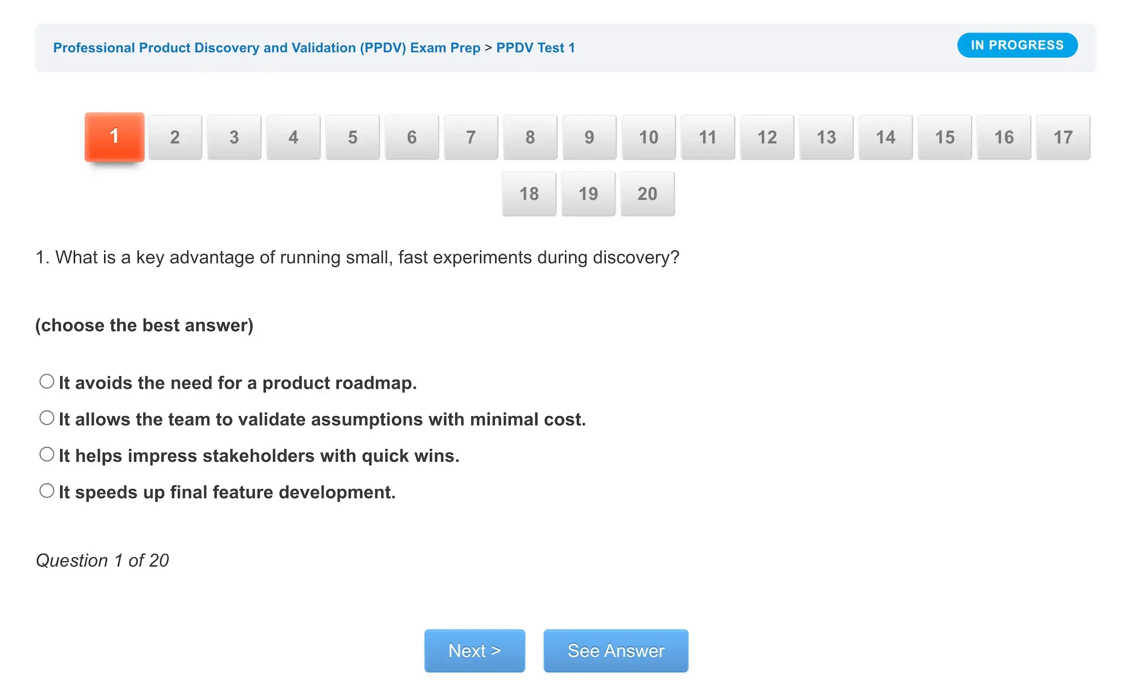 Professional Product Discovery and Validation PPDV™ Exam Prep - Image 3