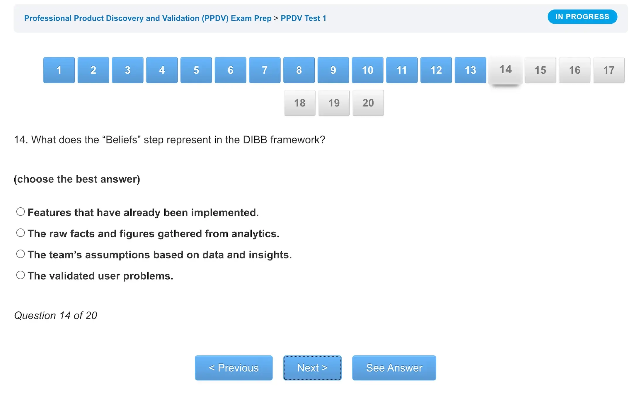 Professional Product Discovery and Validation PPDV™ Exam Prep - Image 7